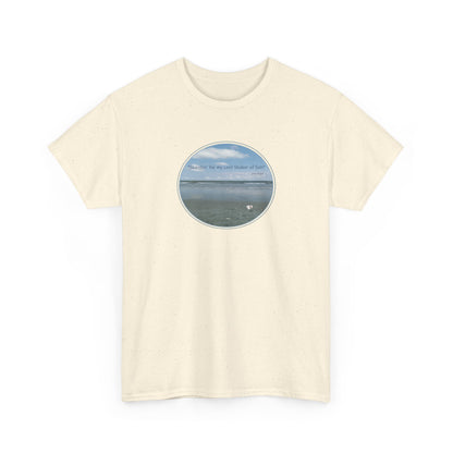 "Searchin' for my Lost Shaker of Salt"    Jimmy Buffett