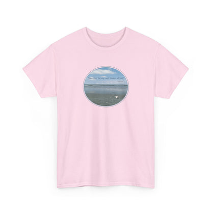 "Searchin' for my Lost Shaker of Salt"    Jimmy Buffett